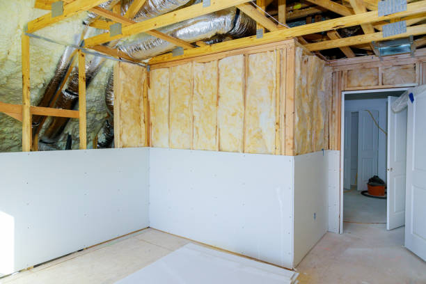 Best Geographic-Specific Insulation Services in Chincoteague, VA